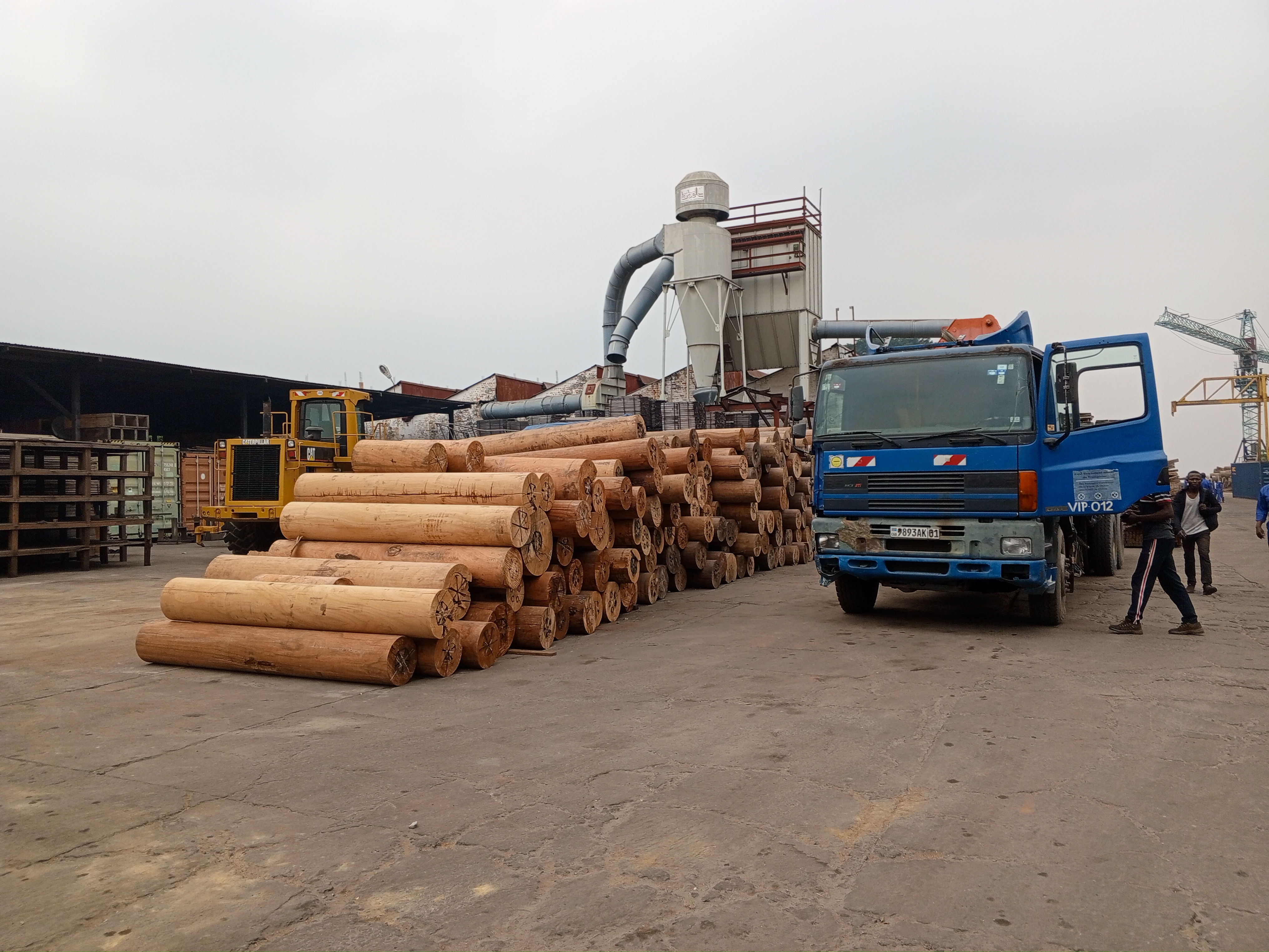 IMG_20240615_120616_162@1704480142